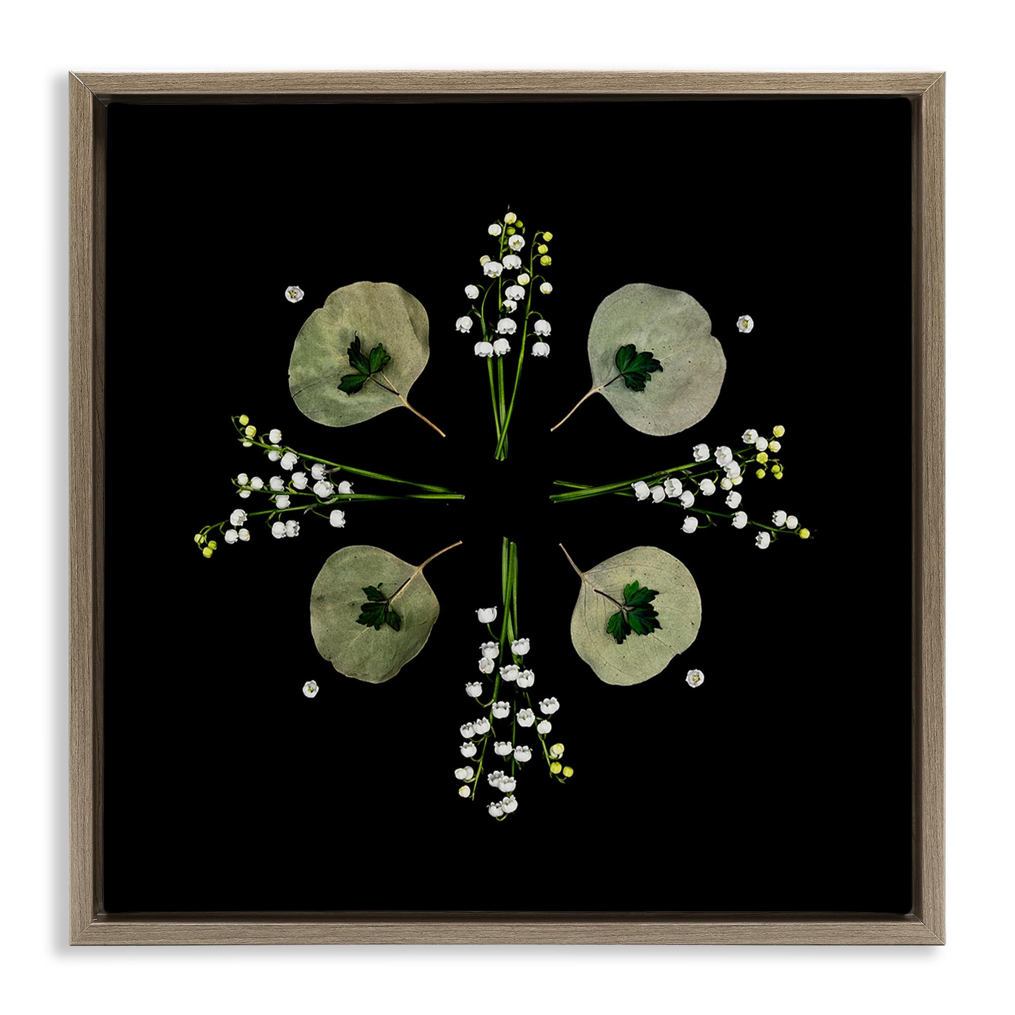 Stupell Industries Montalcino Elm (Textured) 'Leaves & Wildflowers On Black'| Floating Frame Canvas Art