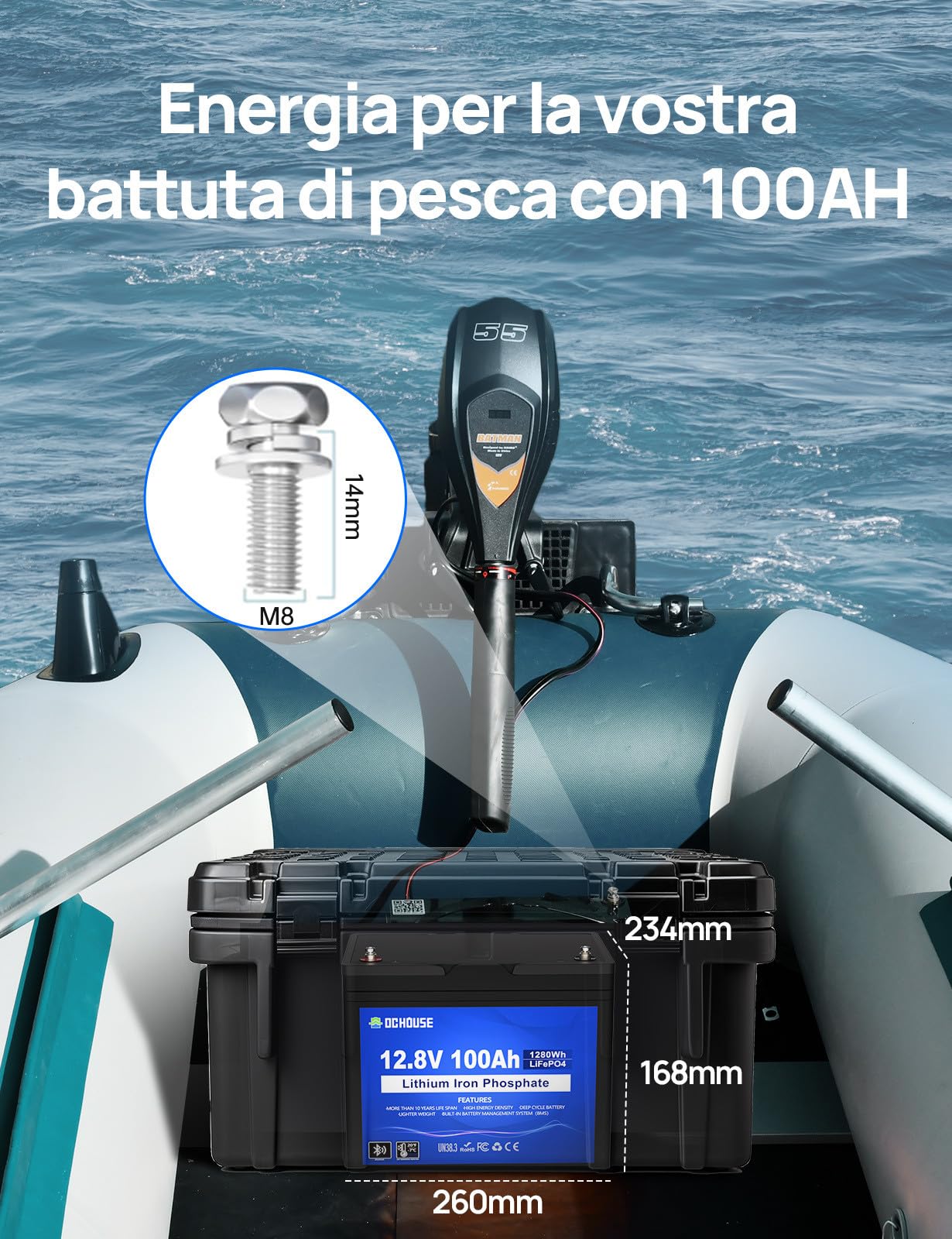 DCHOUSE Batteria Litio 12V 100AH Bluetooth con Protezione 100A BMS e a Bassa Temperatura, Batteria Lifepo4 per motori elettrici, Caravan, Campeggio, Sistemi solare