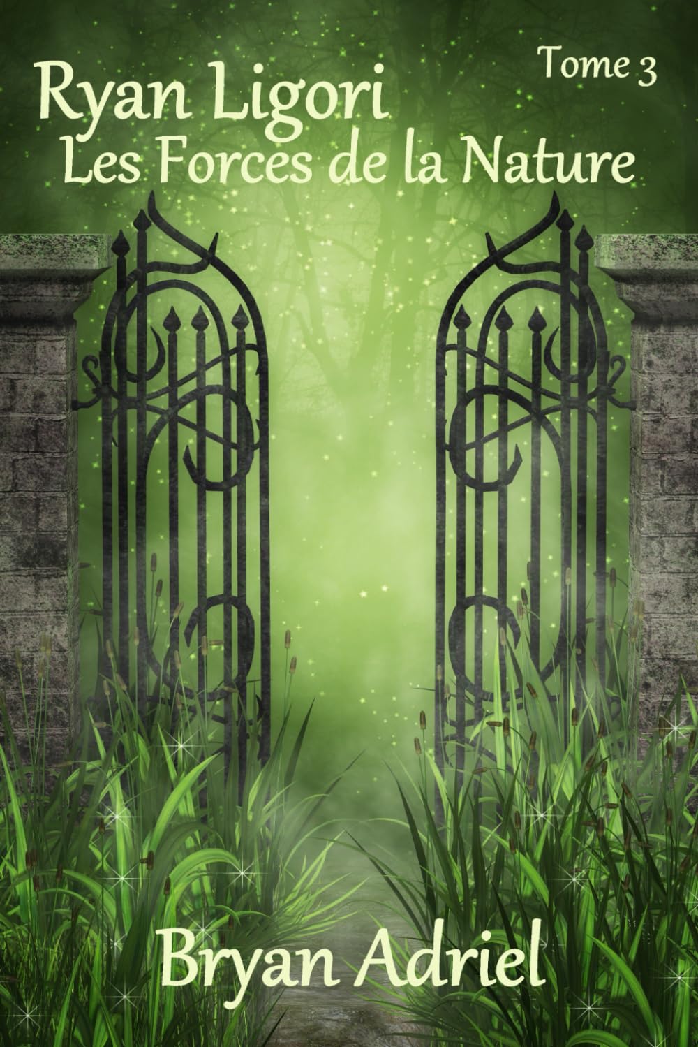 Ryan Ligori (tome 3): Les Forces de la Nature