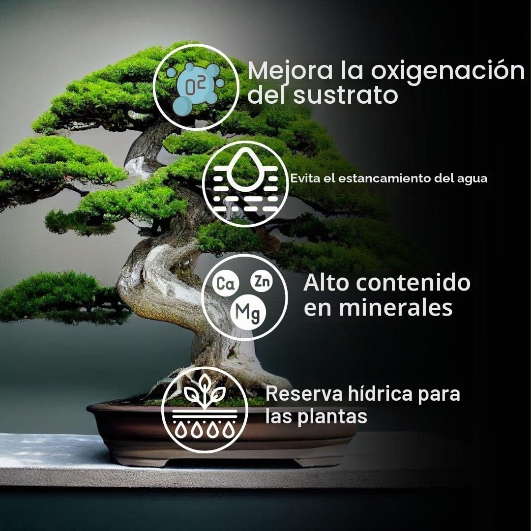 ZOMA Akadama - Granos de bonsái profesionales de 2 a 5 mm, arcilla japonesa para bonsái y suculentas variedades duras, sustrato volcánico, drenaje y antiretorno, 1,5 l