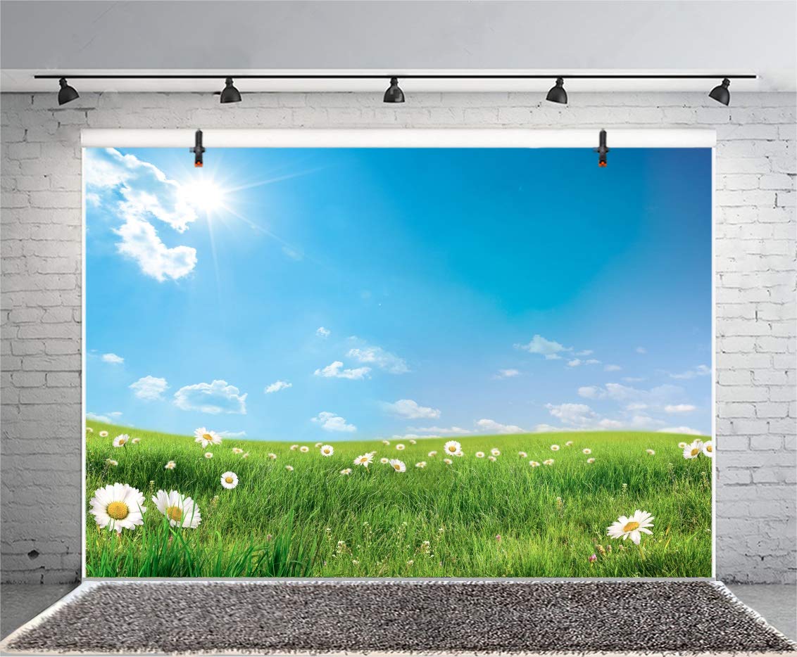 YongFoto 1,8x2,5m Sfondo Fotografia Sfondo Grigio chiaro Struttura