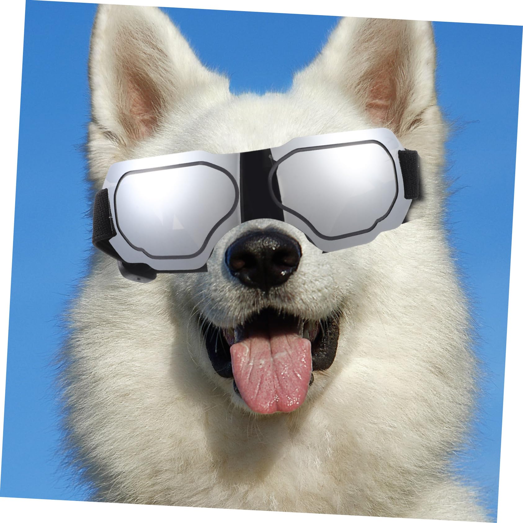BESPORTBLE 5 Sztuk Okulary Dla Zwierząt Domowych Szczeniak Gogle Okulary Dla Zwierząt Domowych Dla Psa Party Dla Psa Gogle Dla Psów Zwierzęta Domowe Są Zwierzęta Domowe