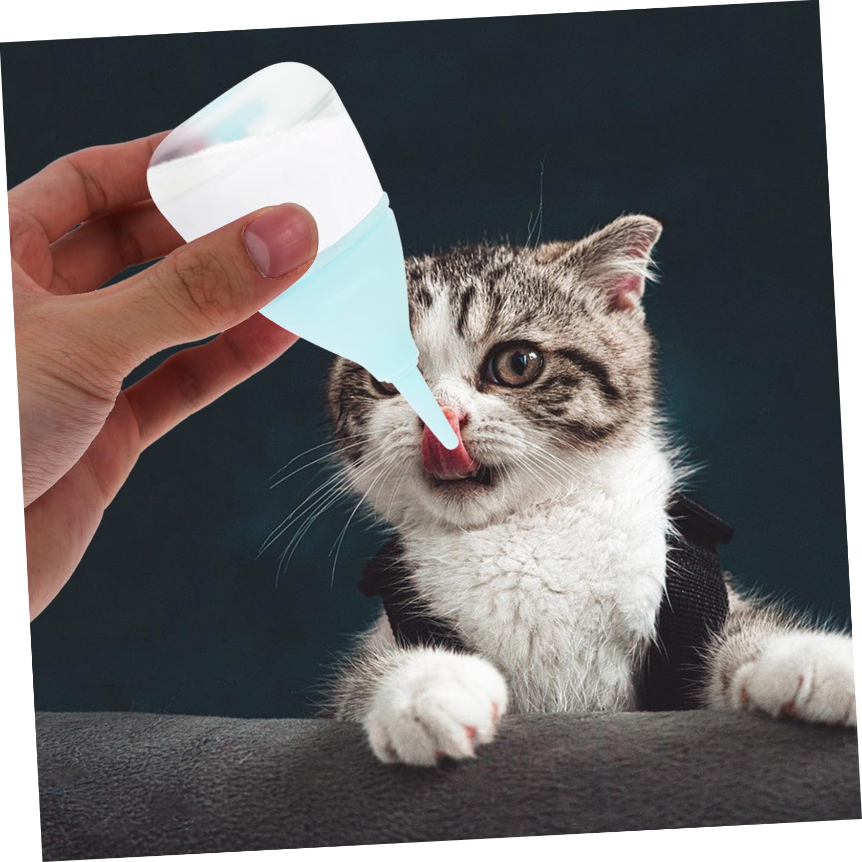 HAPINARY Pet Milk Feeder for Puppies Kittens Nursing Bottle Small Pet Milk Bottle Easy to Use for Outdoor Activities