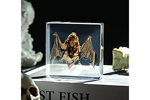 Realistic Bat Taxidermy Adorned In Resin for Science Education