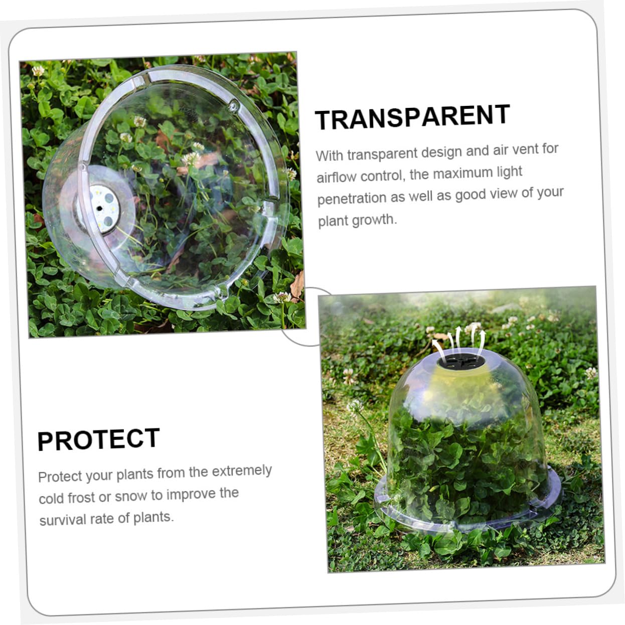 Abaodam 6pièces Cloche Plastique pour Plantes De Jardin Cloches De Protection Gel pour Plantes Extérieur