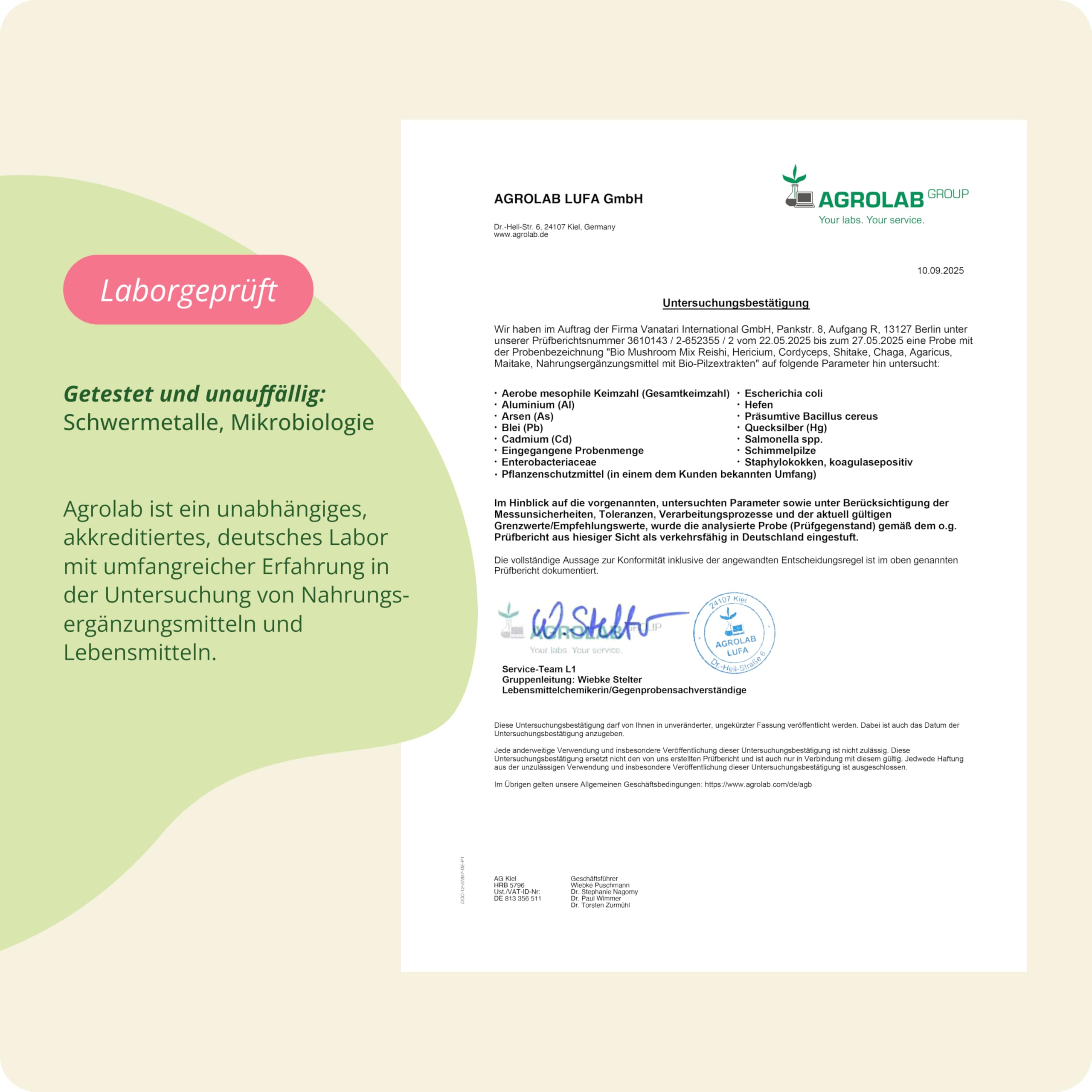 Vegavero Bio Pilz Komplex Hochdosiert - 90 vegane Kapseln - 1300 mg 7 Vitalpilze Extrakte - Reishi Lions Mane Cordyceps Chaga Shiitake Maitake Agaricus - 490 mg Polysaccharide & Beta-Glucane