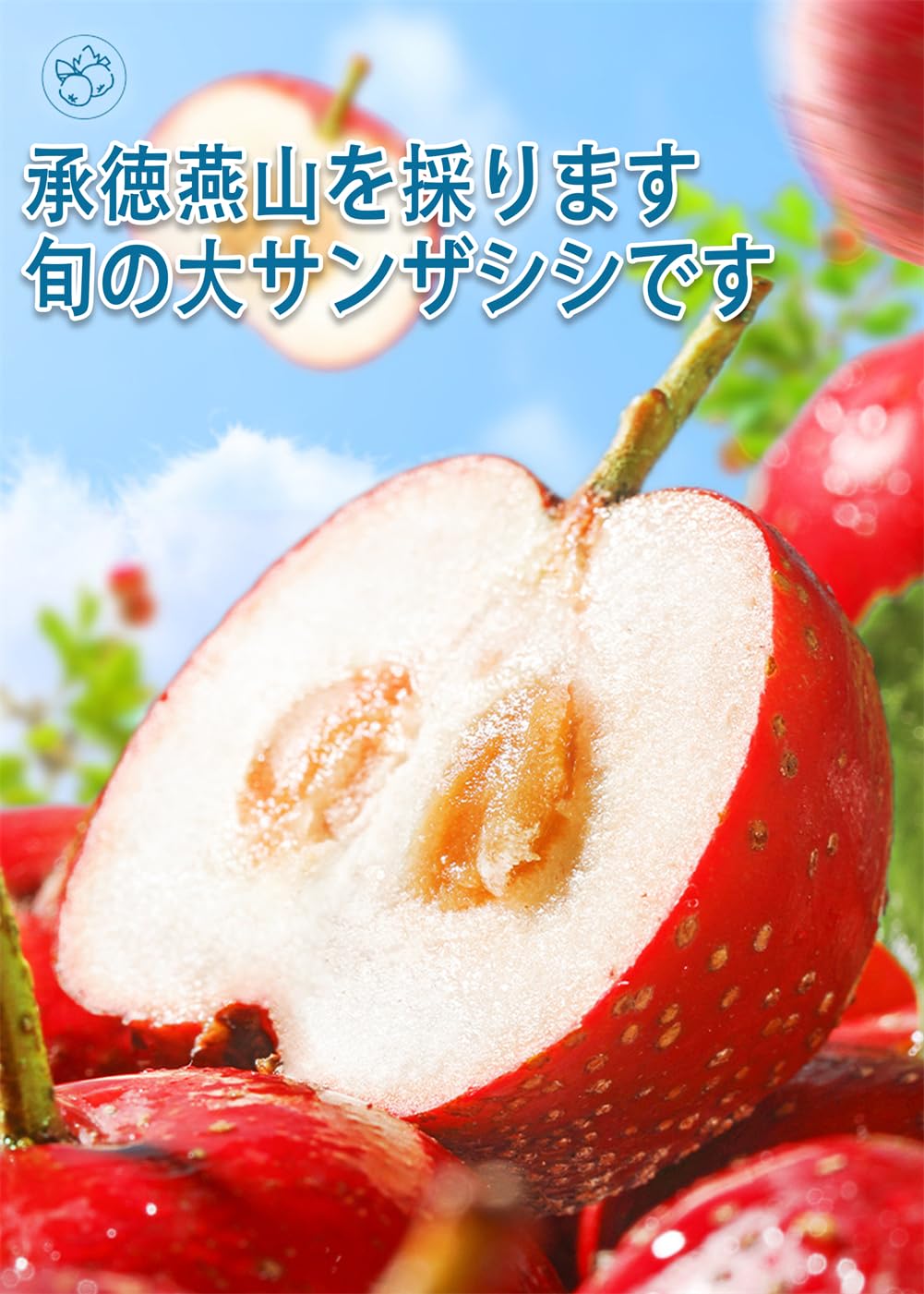 Amazon | サンザシ 山楂卷 800g/袋 サンザシ飴 コクのあるフルーツ