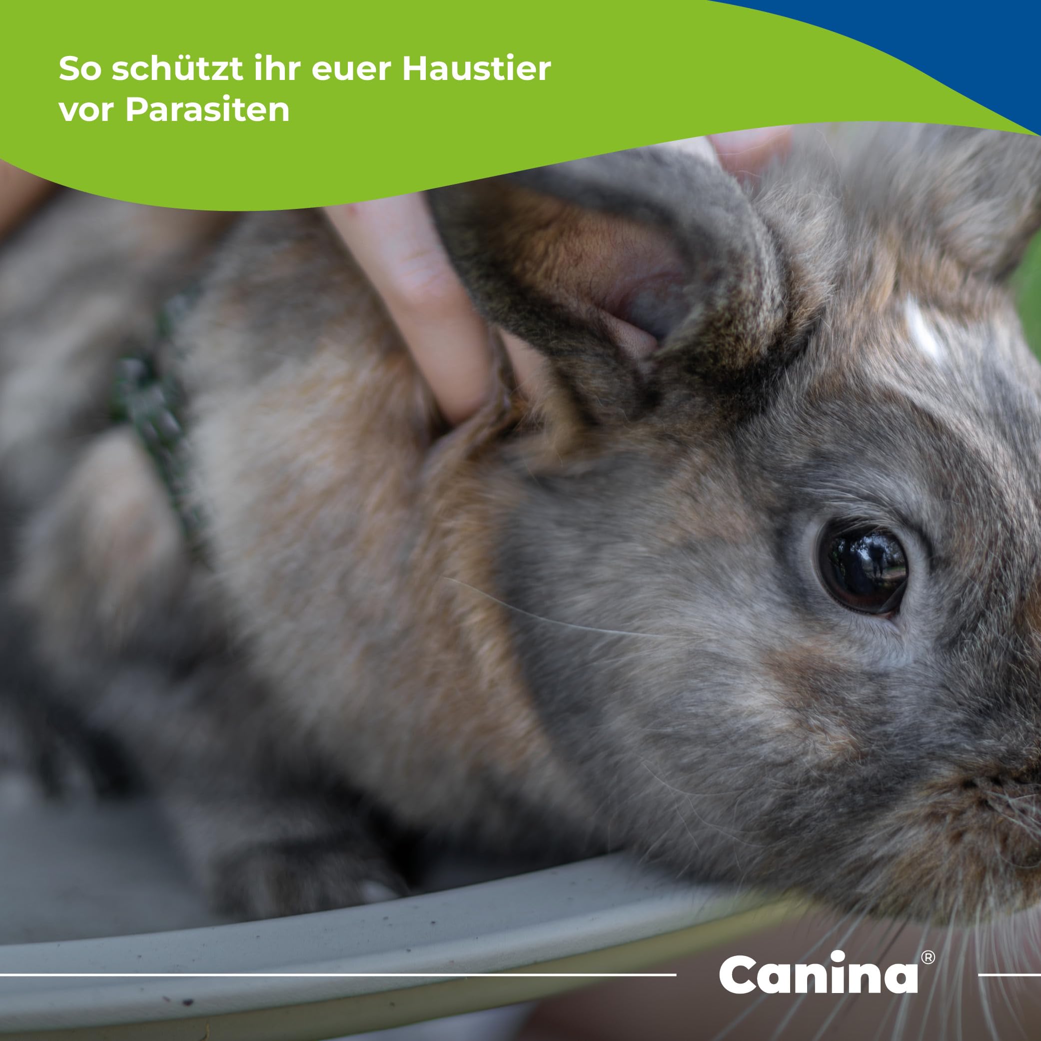Organic insectos Shocker ahora por fin puedo usar ellos también un "perros" lbhi biológica pulgas KILLER presente. Sin regalo y Chemie