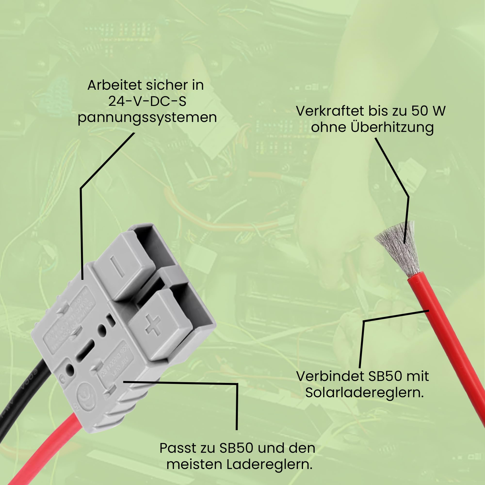 Offgridtec Anderson - Terminali da 6 mm², 5 m