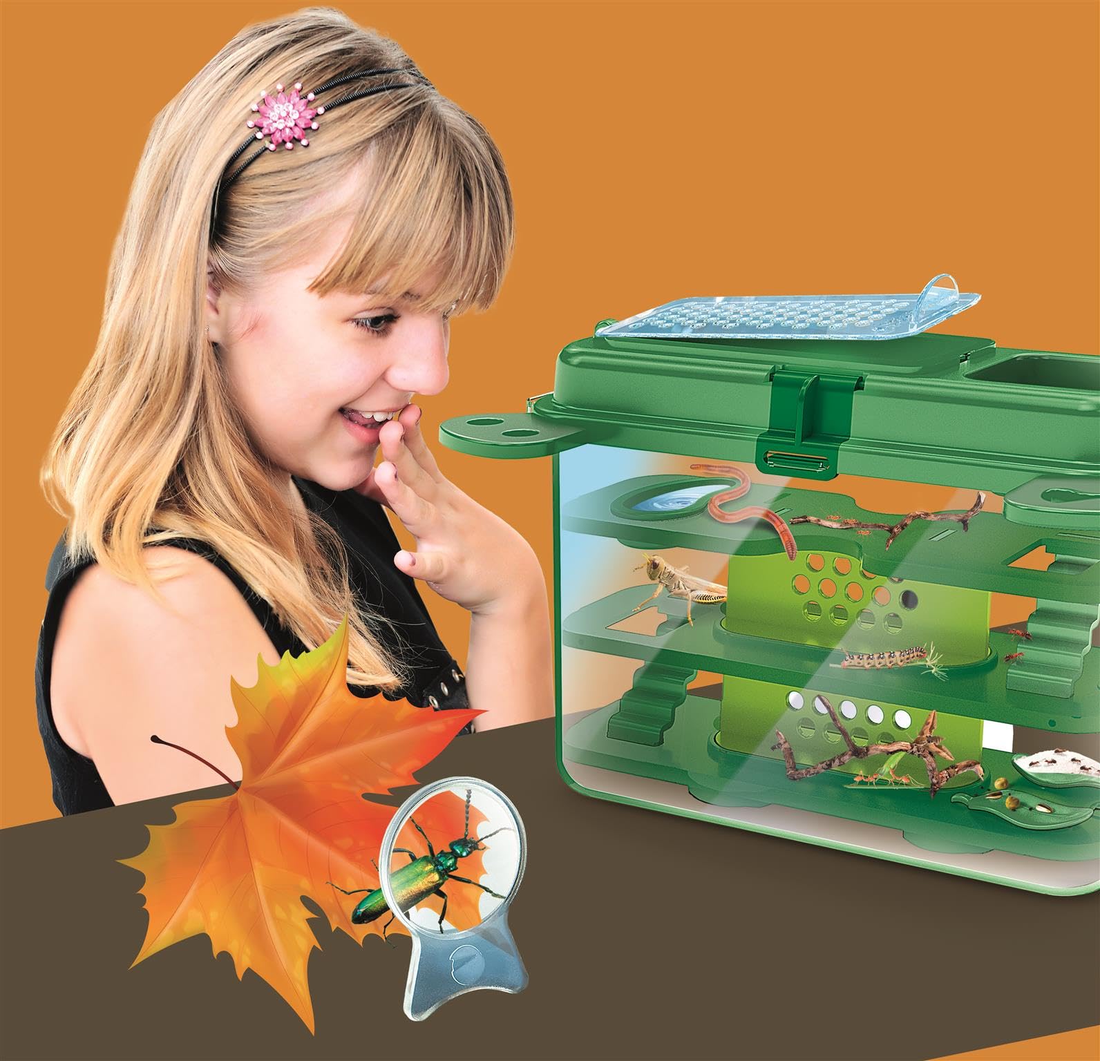La Casa de los Insectos