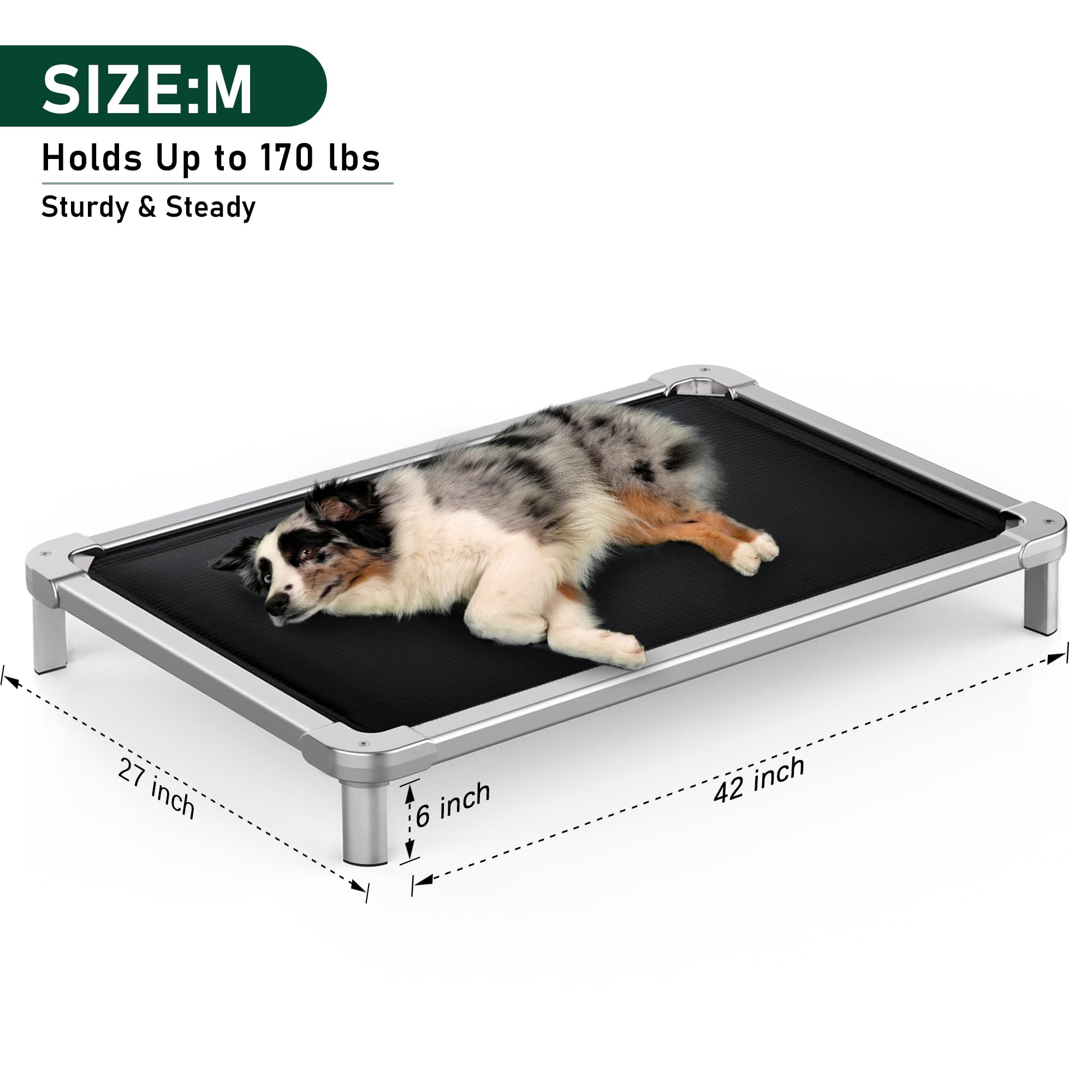 Senneny Chew Proof Elevated Dog Bed Medium Sized Dog, Raised Cot for Indoor Outdoor Camping, Heavy-Duty Chew Resistant Hidden Fabric Indestructible Dog Bed, M, 42" L x 27" W x 6" H - image 6