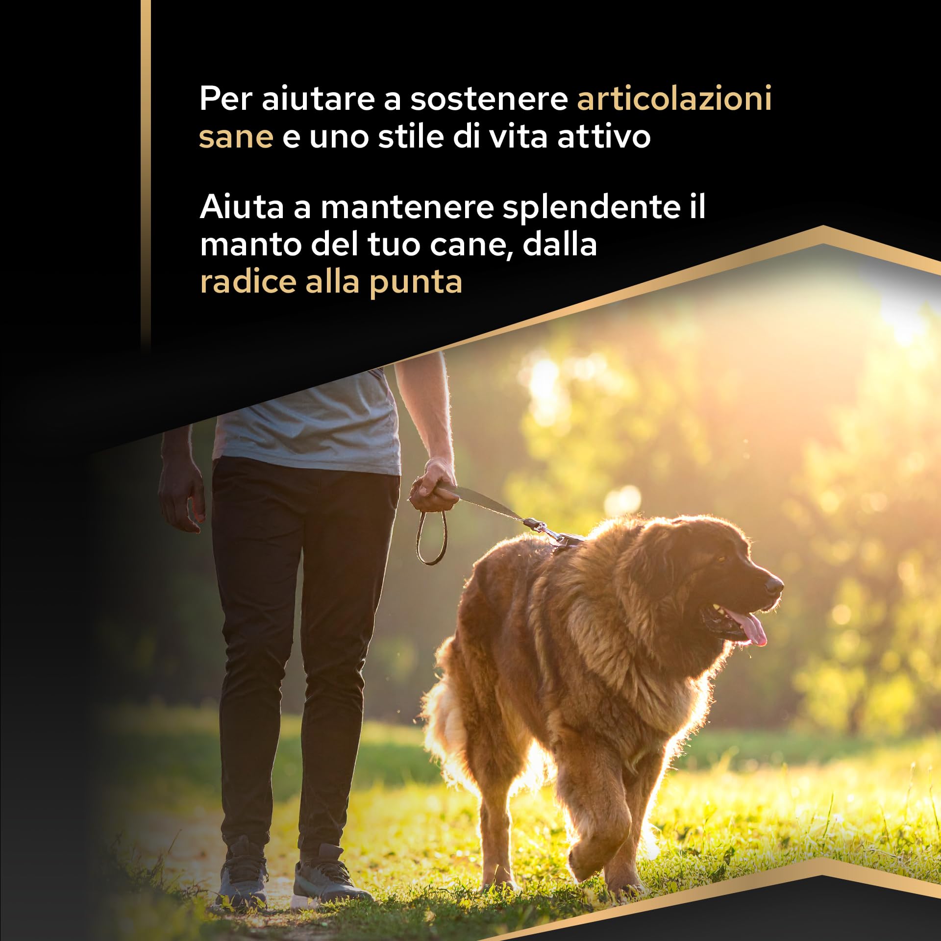 Purina Pro Plan Optibalance Large Robust Adult Crocchette Cane 14kg