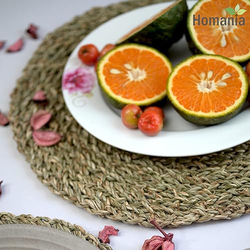 Miniatura 8 de Homania Juego de 10 manteles individuales bohemios, juego de 10 manteles individuales tejidos, juego de 10 manteles individuales de corcho, manteles