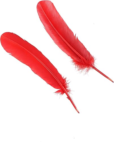 Miniatura 4 de Zucker - Plumas de pavo seleccionadas por libra - Plumas a granel para manualidades, decoración, decoración del hogar, decoración de vacaciones,