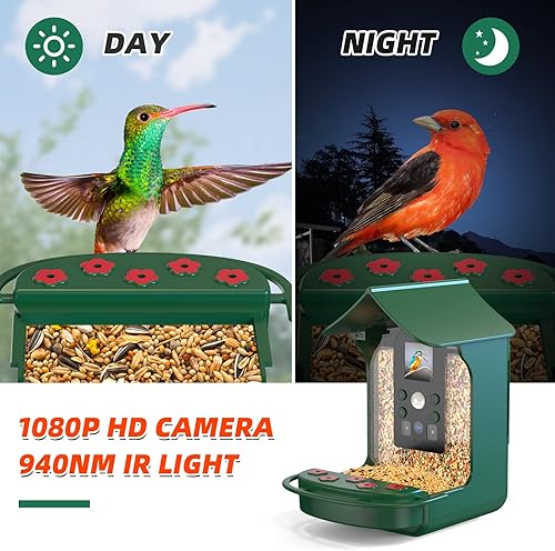 Miniatura 8 de Cámara inteligente de alimentador de pájaros, cámara de observación de colibríes con detección de movimiento y captura automática de pájaros, gran