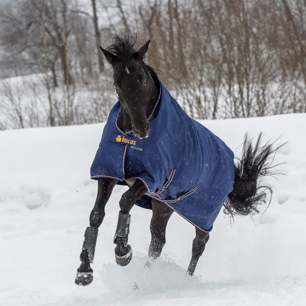 Bucas Irish Turnout Light/50 Classic, Weidedecke Rückenlänge 145 cm, Navy/gold | Wasserdicht, Atmungsaktiv, 50g Füllung, Classic