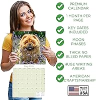 Vista 301 de Razas de Perros 2017