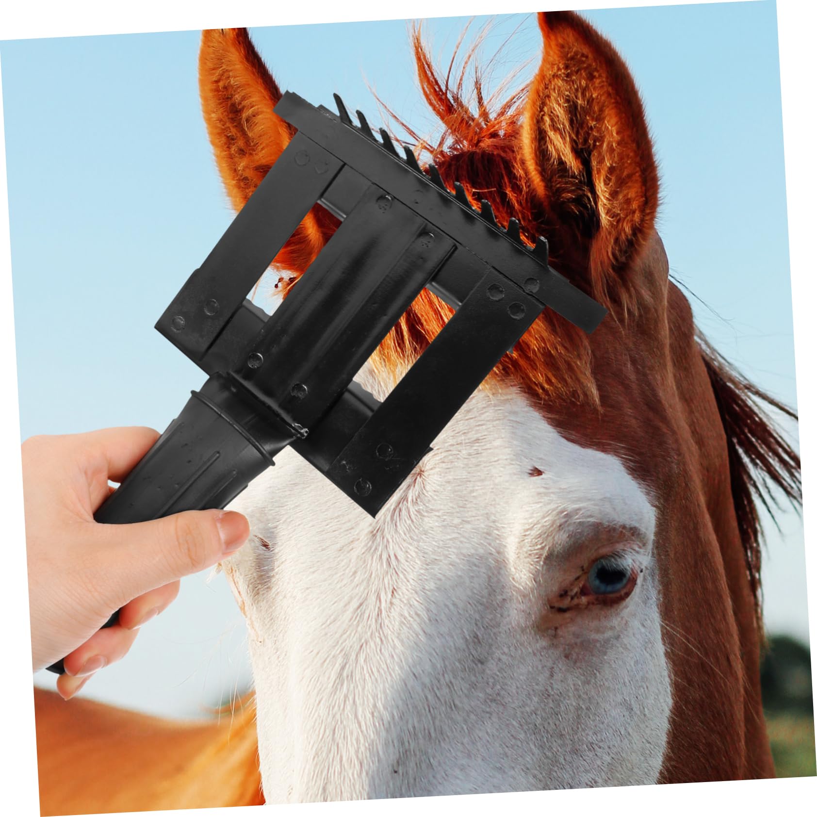 VANZACK 5piezas Cepillo Metálico De Limpieza Para Caballos Herramienta De Aseo Ergonómica Mango Antideslizante Práctico Rastrillo Para Eliminación De Pelo y Suciedad Mascotas