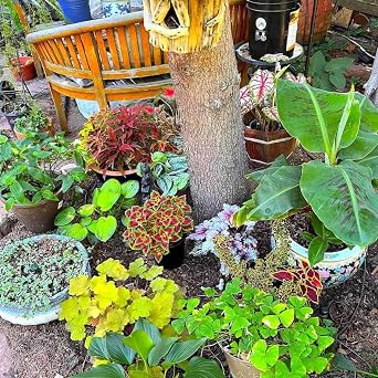 Backyard Irrigation Kit, Gravity Drip System for Container Gardening