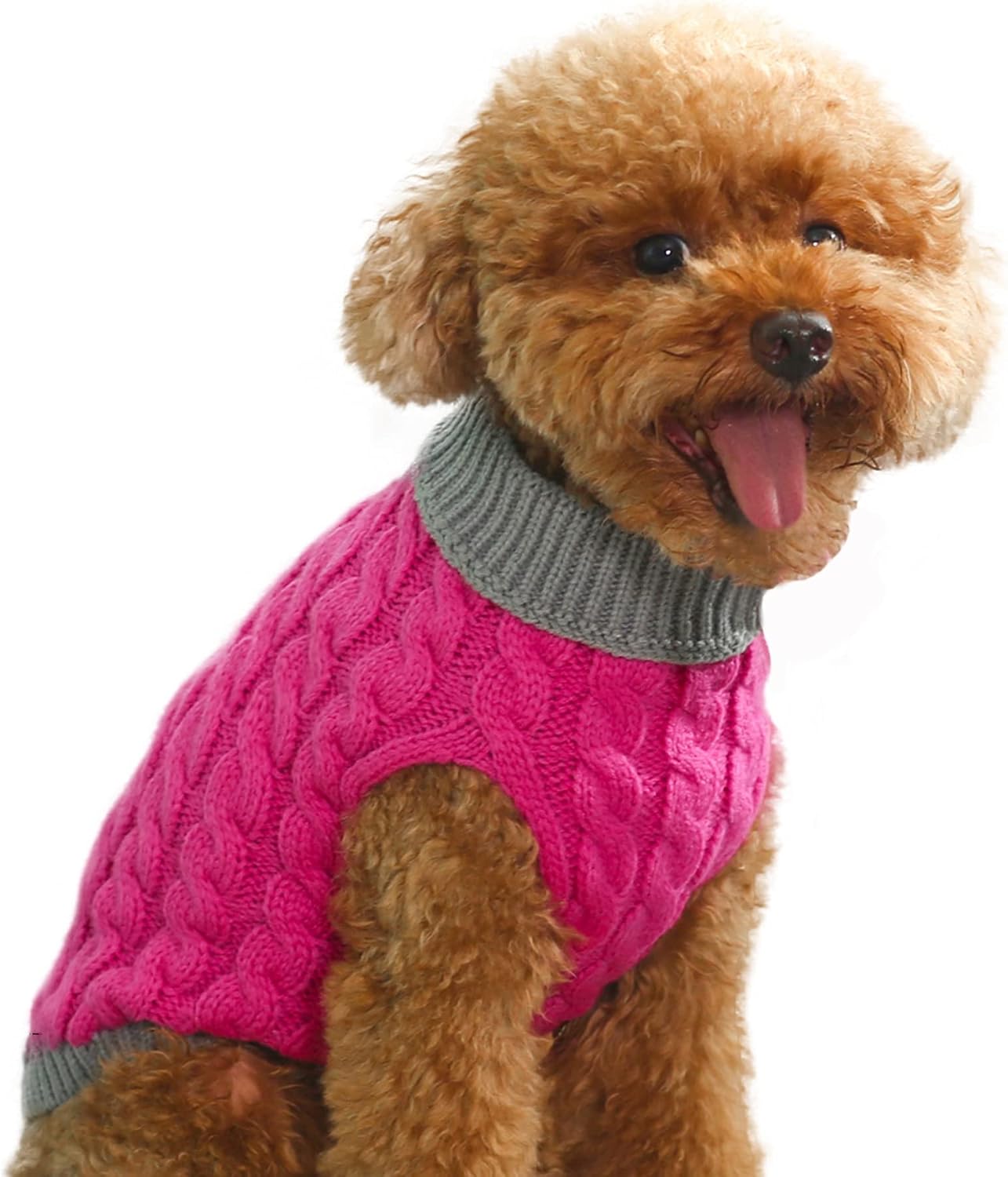 Mr. Peanut's Pet Sweater (XX-Large, Royal Rosa with Gray Fringe)