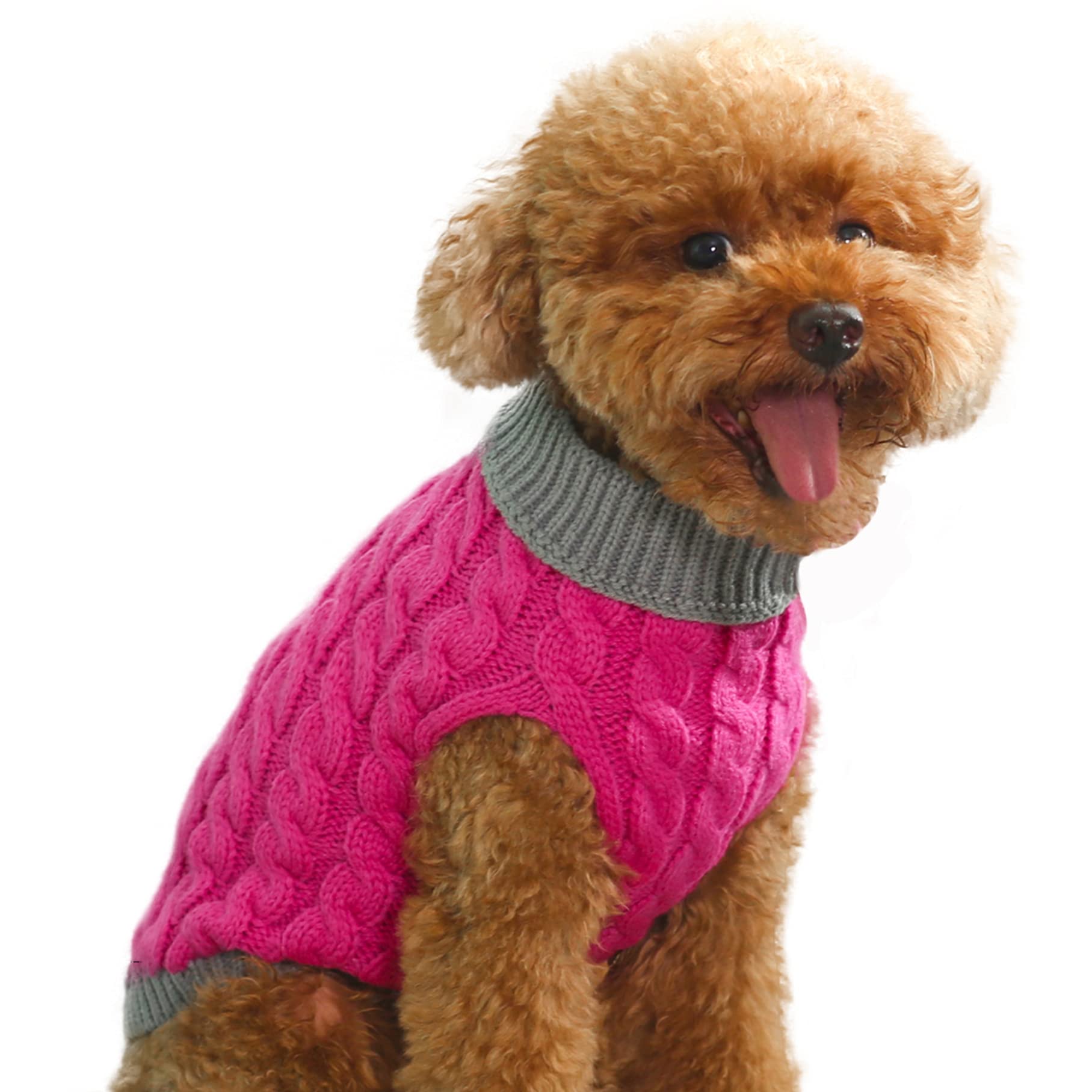 Mr. Peanut's Pet Sweater (XX-Large, Royal Rosa with Gray Fringe)