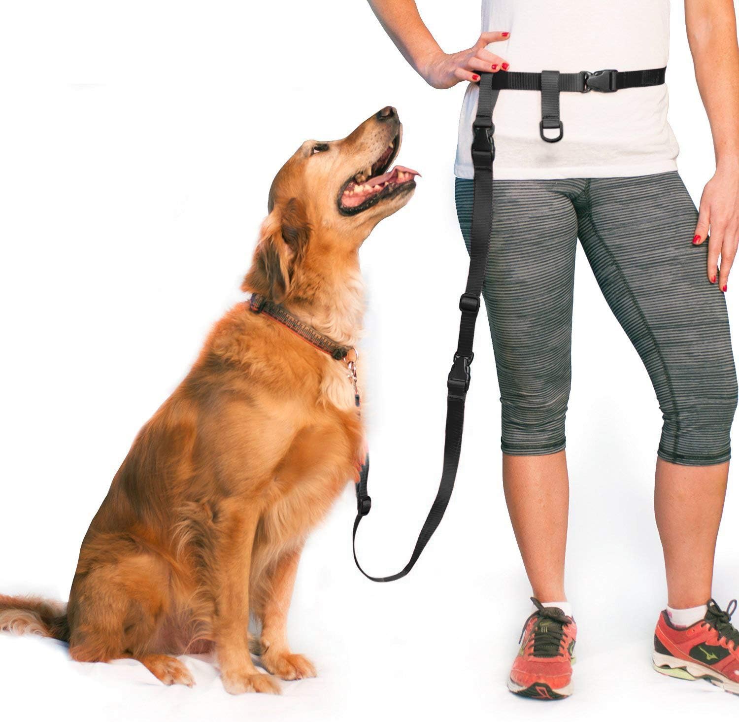 The Buddy System Hands Free Dog Leash and Extend a Buddy Pet Leash, Bundle Adjustable Dog Leash for Walking, Running, Training, Exercise with Your Dog-Made in The USA