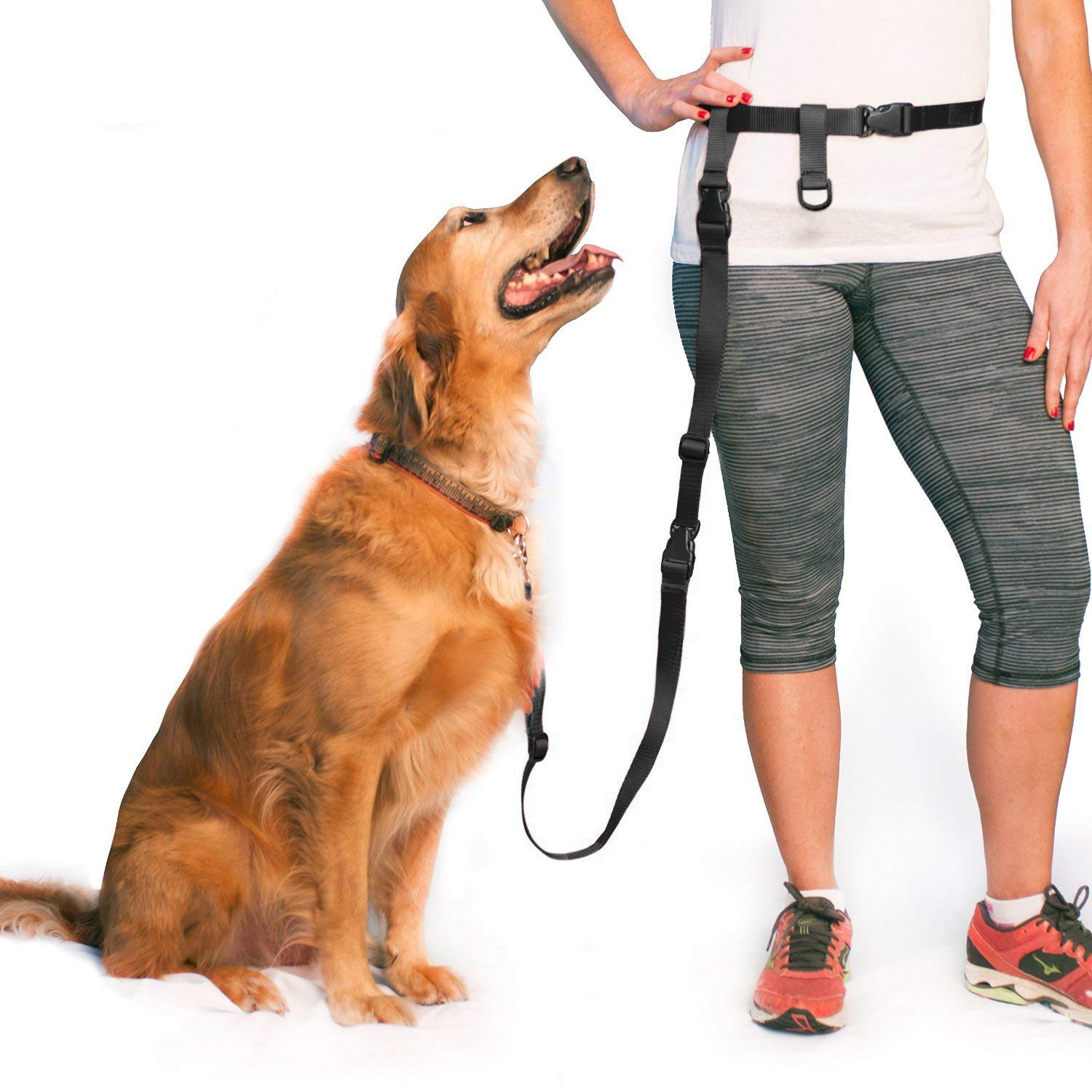 The Buddy SystemHands Free Dog Leash and Extend a Buddy Pet Leash, Bundle Adjustable Dog Leash for Walking, Running, Training, Exercise with Your Dog-Made in The USA