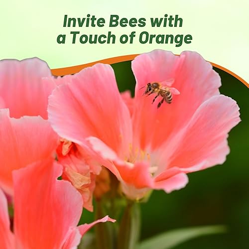 Miniatura 7 de Outsidepride 5000 semillas anuales Godetia Orange Glory Flower Seeds para plantar