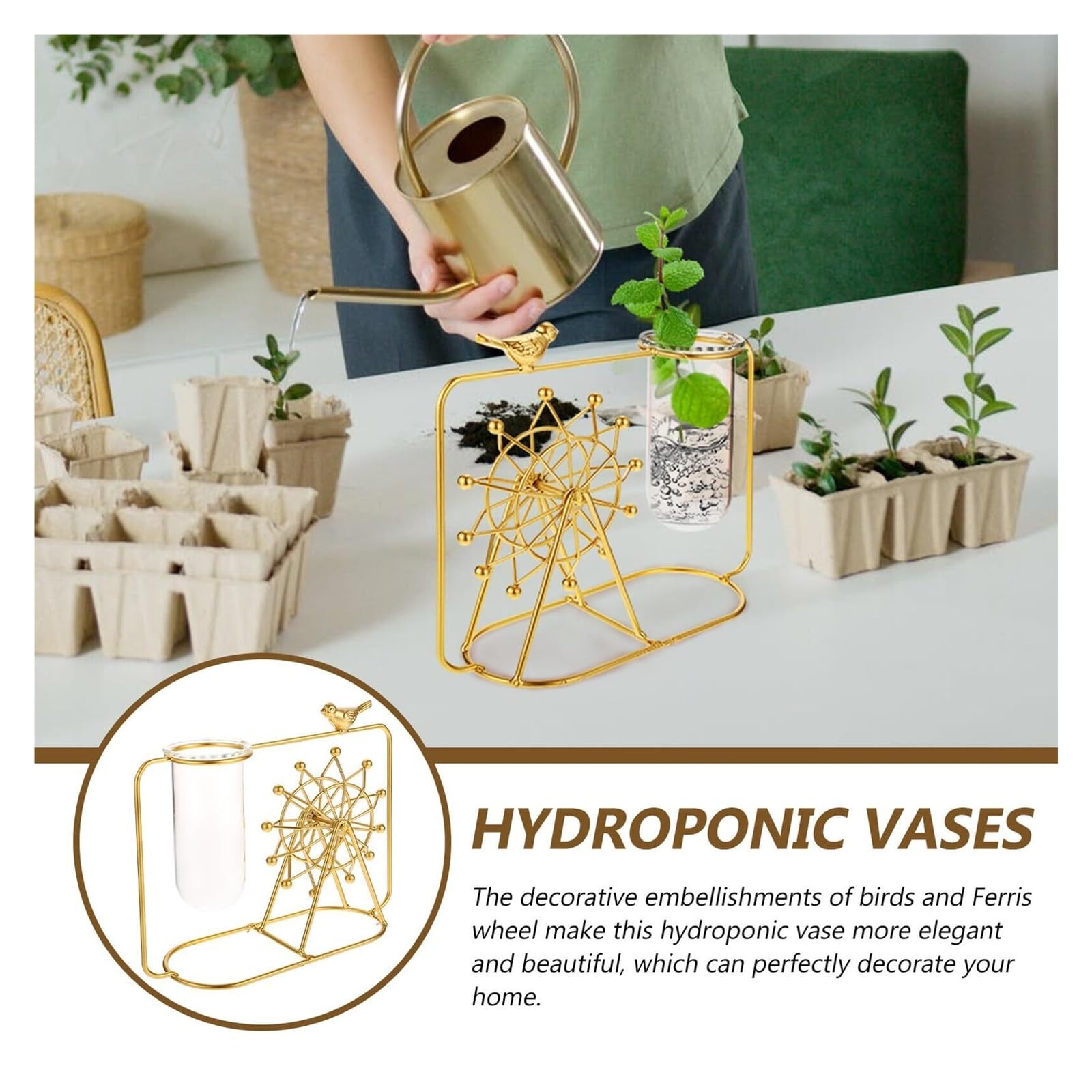 Vase à Fleurs Vase for Plantes hydroponiques, Conception créative de Grande Roue, récipient Propagation l'eau en Verre Décoration intérieure