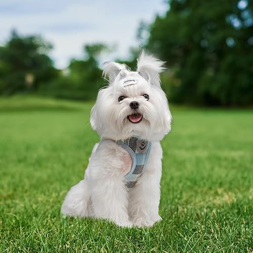 Miniatura 7 de EXPAWLORER Arnés clásico para perro a cuadros, collar y correa para perro pequeño, de malla suave, acolchado, ajustable, sin tirones, reflectante, a