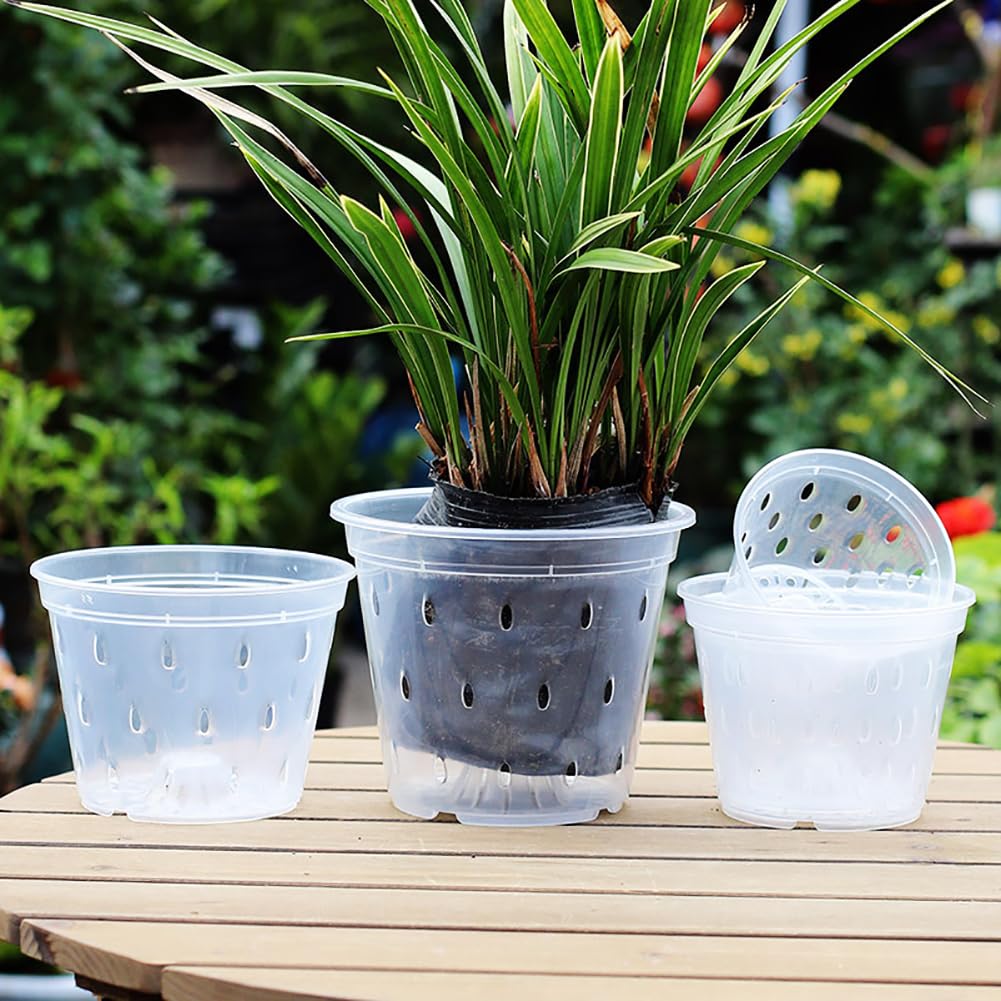 JIHUOO 3 Pcs Plastic Orchid Pots Clear Flower Pots Orchid Nursery Planters Breathable Planter Pots Transparent Plant Pots with Drainage Holes and Saucers 12cm - Image 3