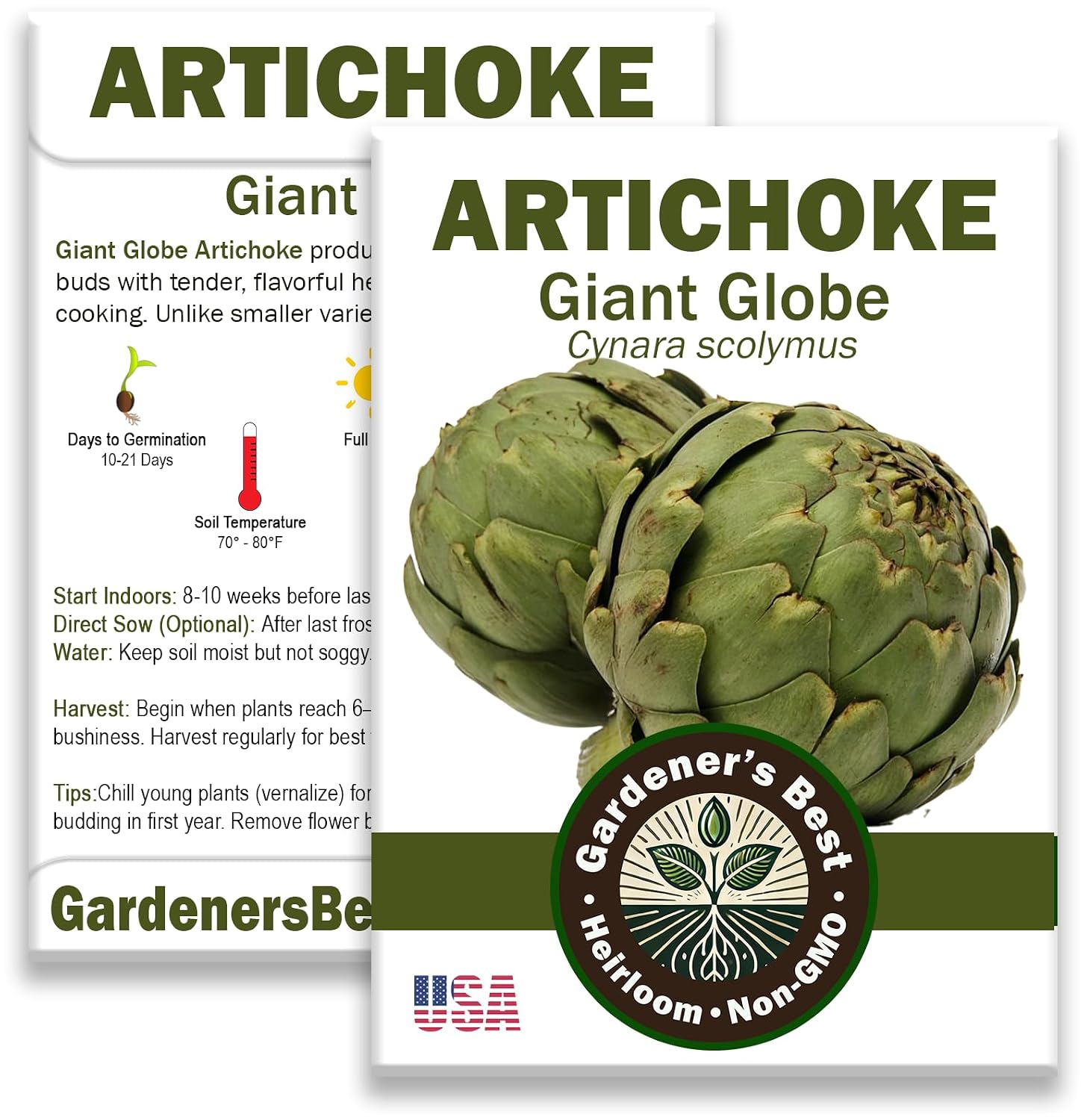 Seeds Artichoke Green Globe Heirloom Variety – Organic, Non-GMO, Perennial Vegetable for Garden and Raised Beds – Includes Instructions – USA Grown