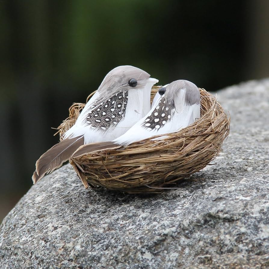 Amazon.co.jp: Muskela 人工鳥の巣、ケージ用鳥の巣 - 鳥の巣の