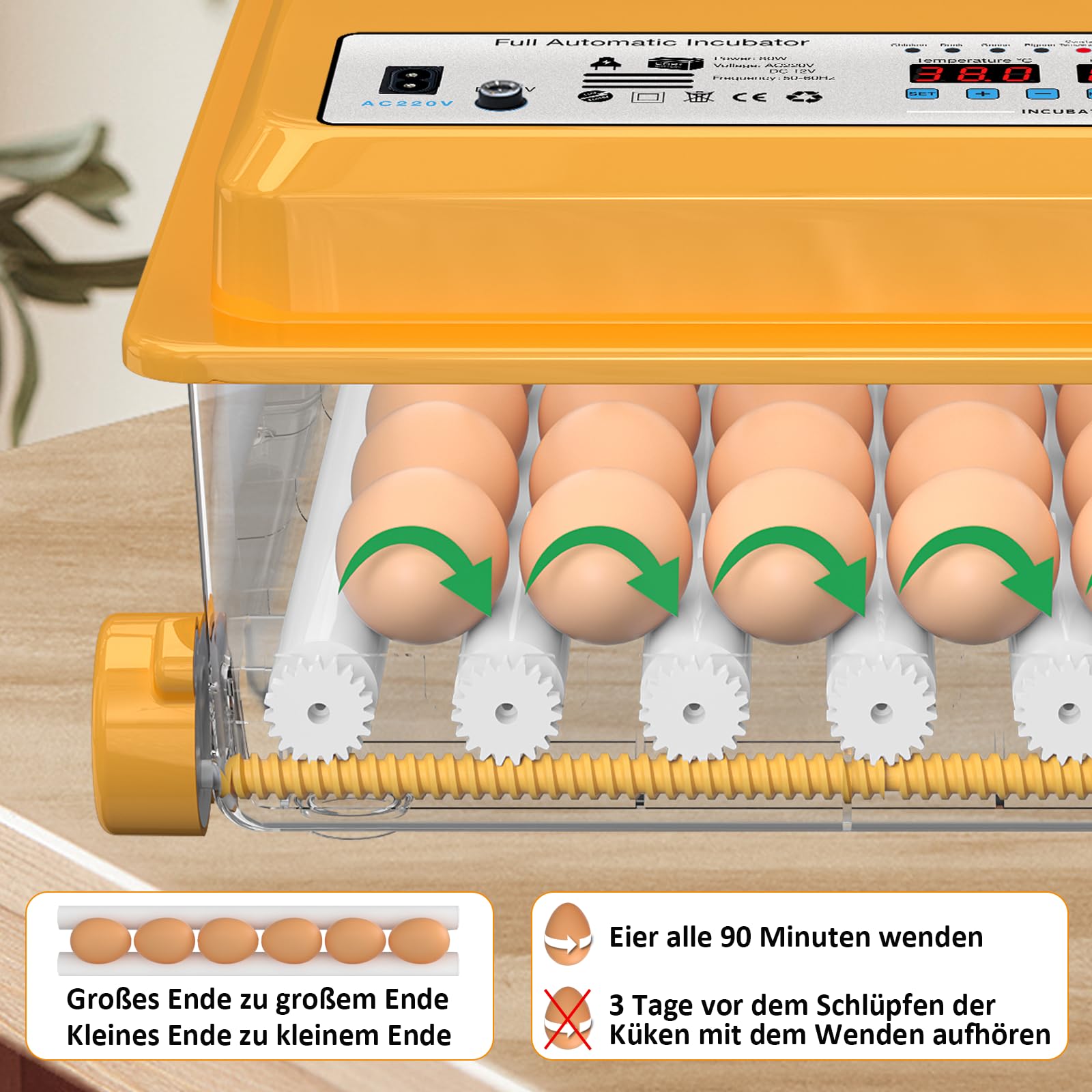Brutautomat Vollautomatisch 36 Eier mit Temperaturregelung, Brutmaschine mit 5 automatischen Brutmodi, Inkubator Feuchtigkeitsanzeige, Brutkasten automatischer Wasserauffüllung und Eierwende