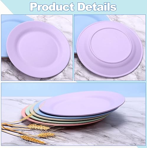 Miniatura 3 de Paquete de 5 platos llanos de paja de trigo, 11 pulgadas de profundidad irrompible, reutilizables, ligeros, aptos para lavavajillas y microondas,