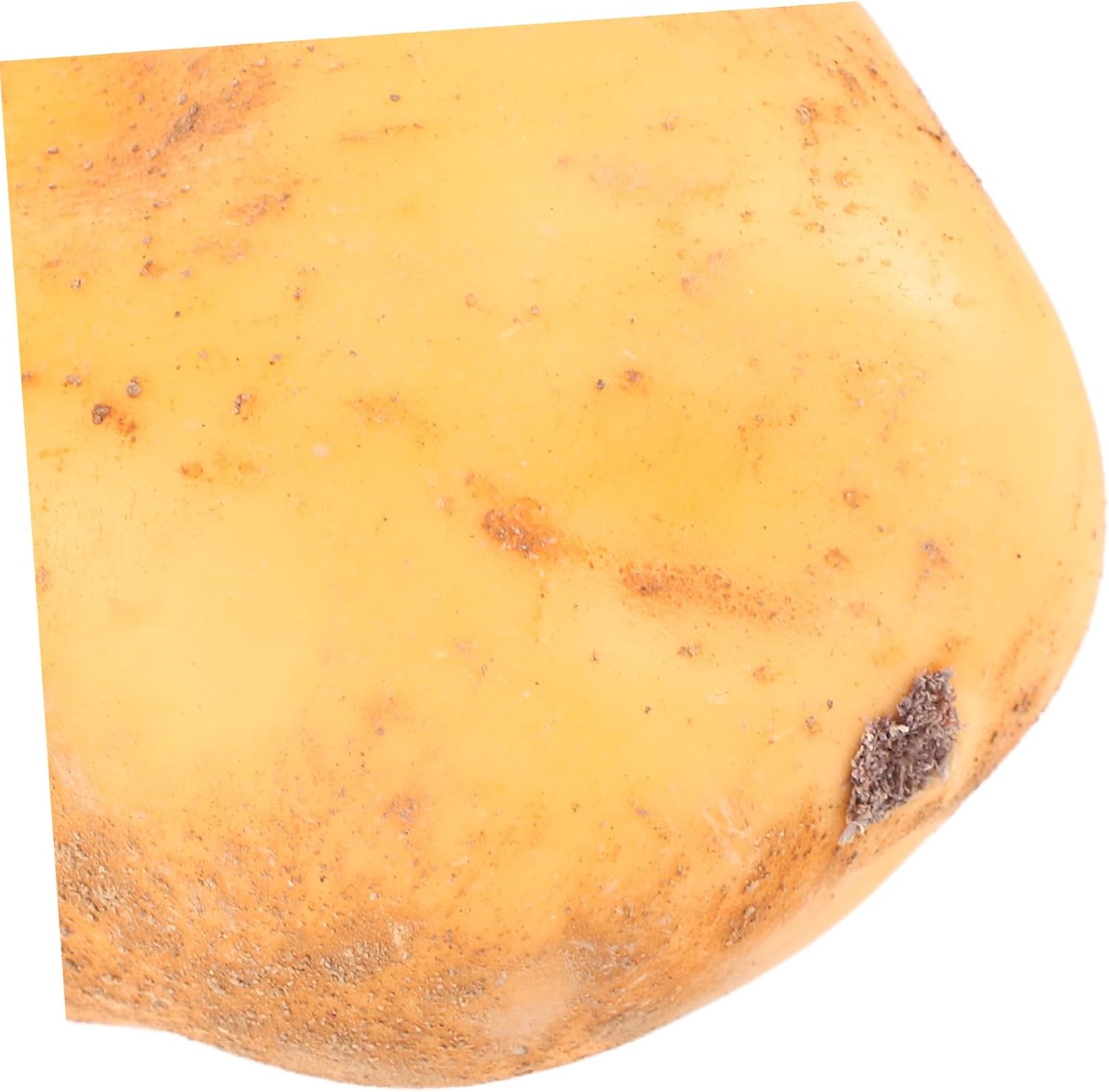 20pcs Lifelike Artificial Potato Props for Home Decor Photography Realistic Vegetable Models Lightweight for Exhibitions and Creative Displays