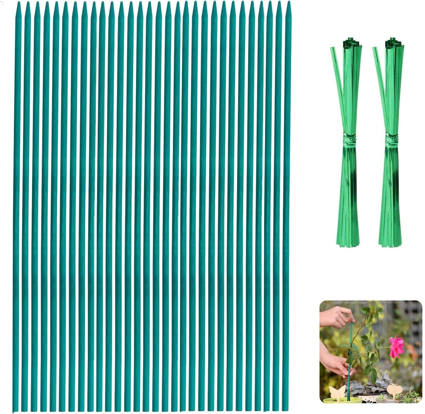 Plant Support Sticks, 30cm Green Plant Stakes, 12 inch Green Bamboo