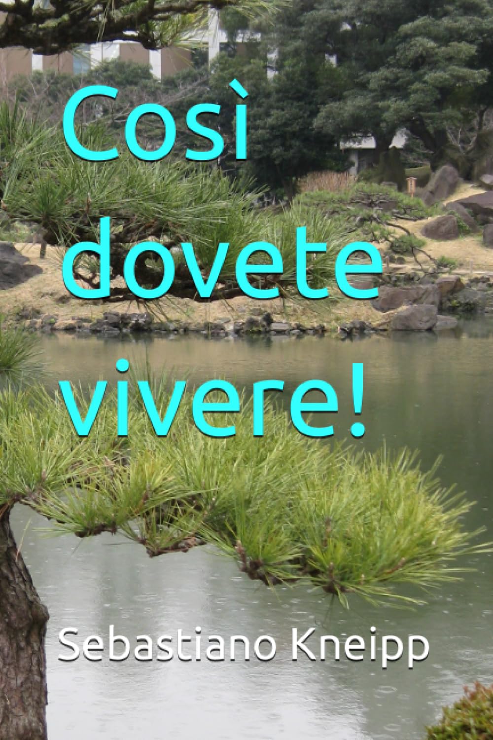 Così dovete vivere! (Italian Edition)