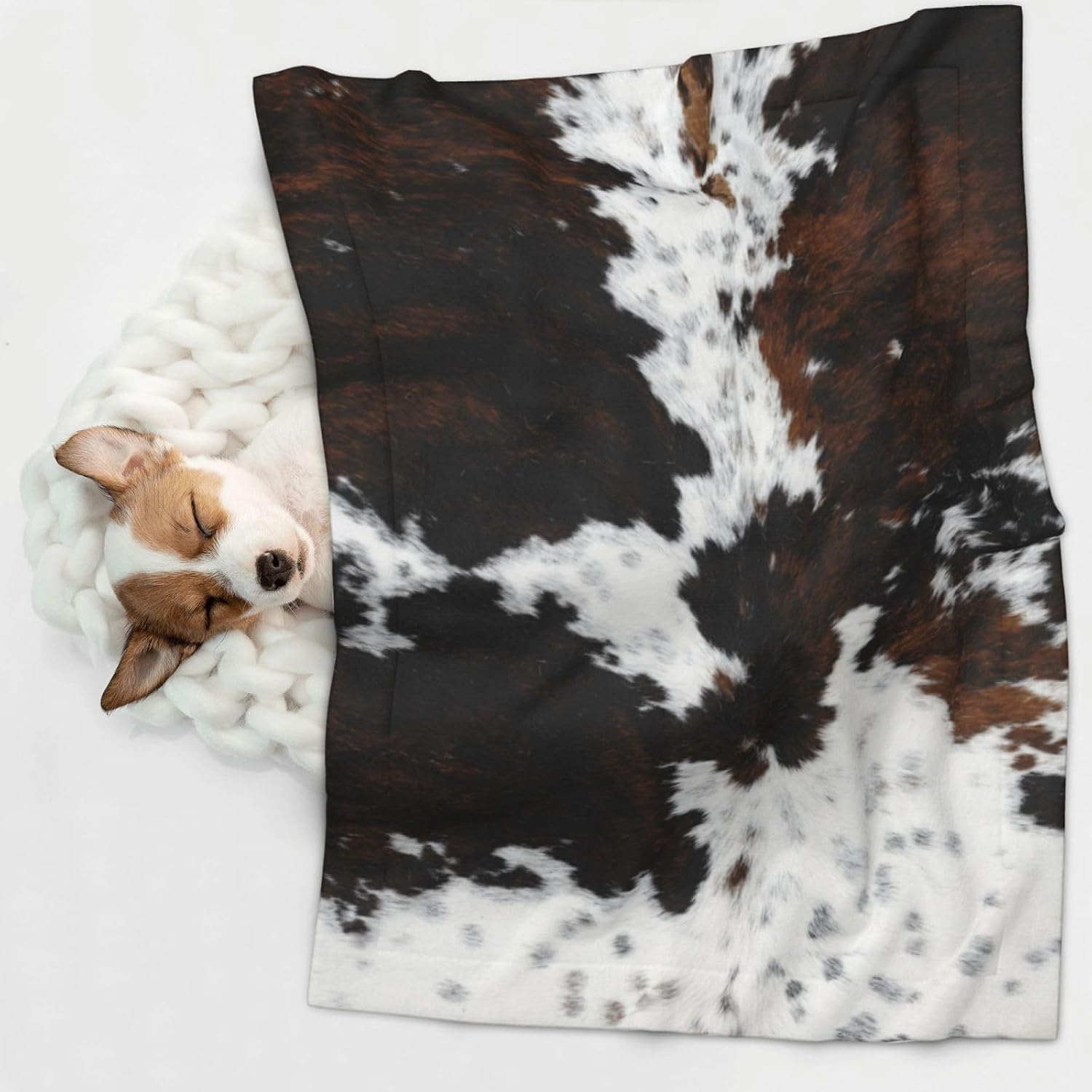 Cowhide, Cow Skin Print Pattern Dog Blankets for Small Dogs, Puppy Blanket Cute Pet Blanket for Dog, Puppy, Cat, Kitten Small