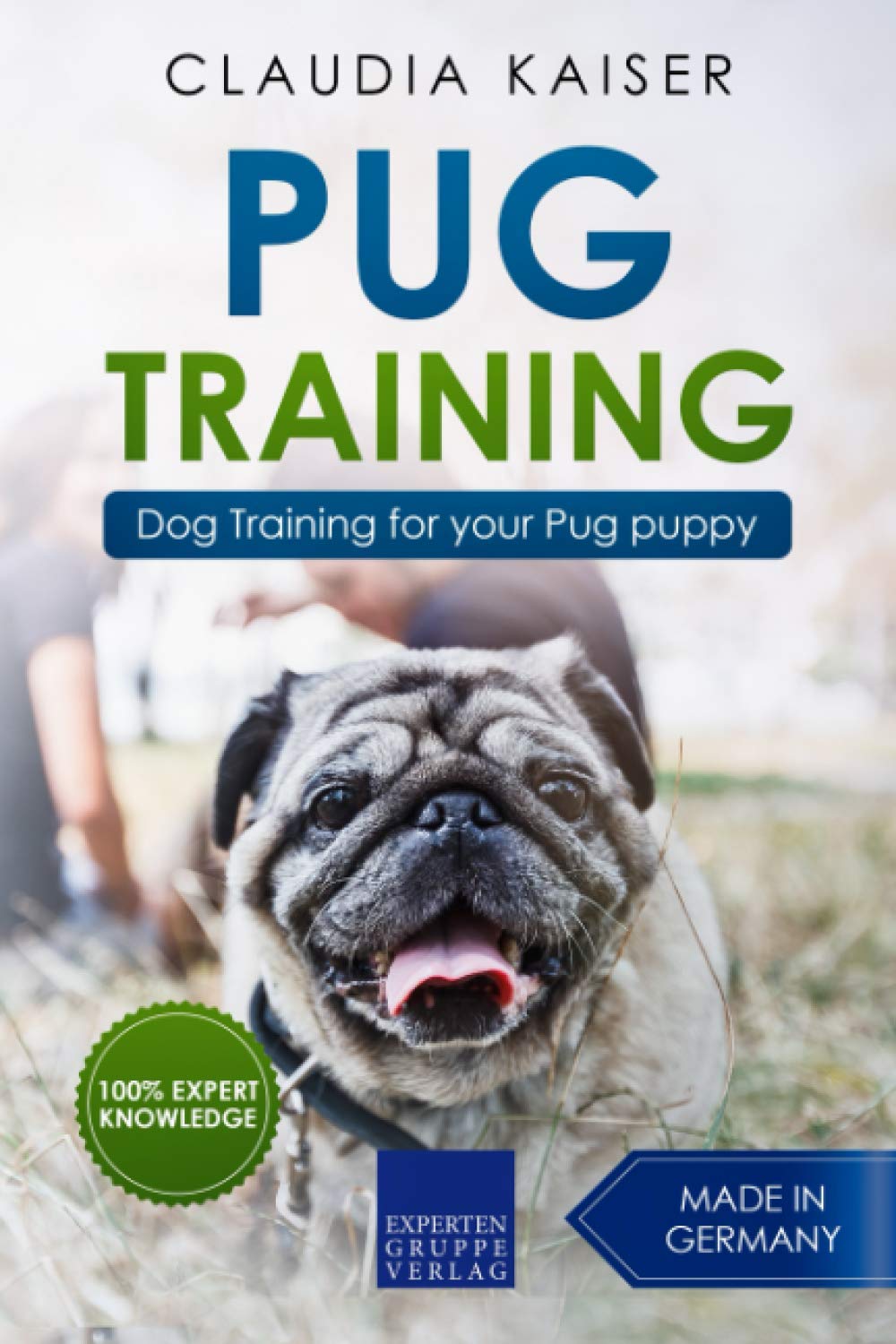 Pug Training: Dog Training for your Pug puppy