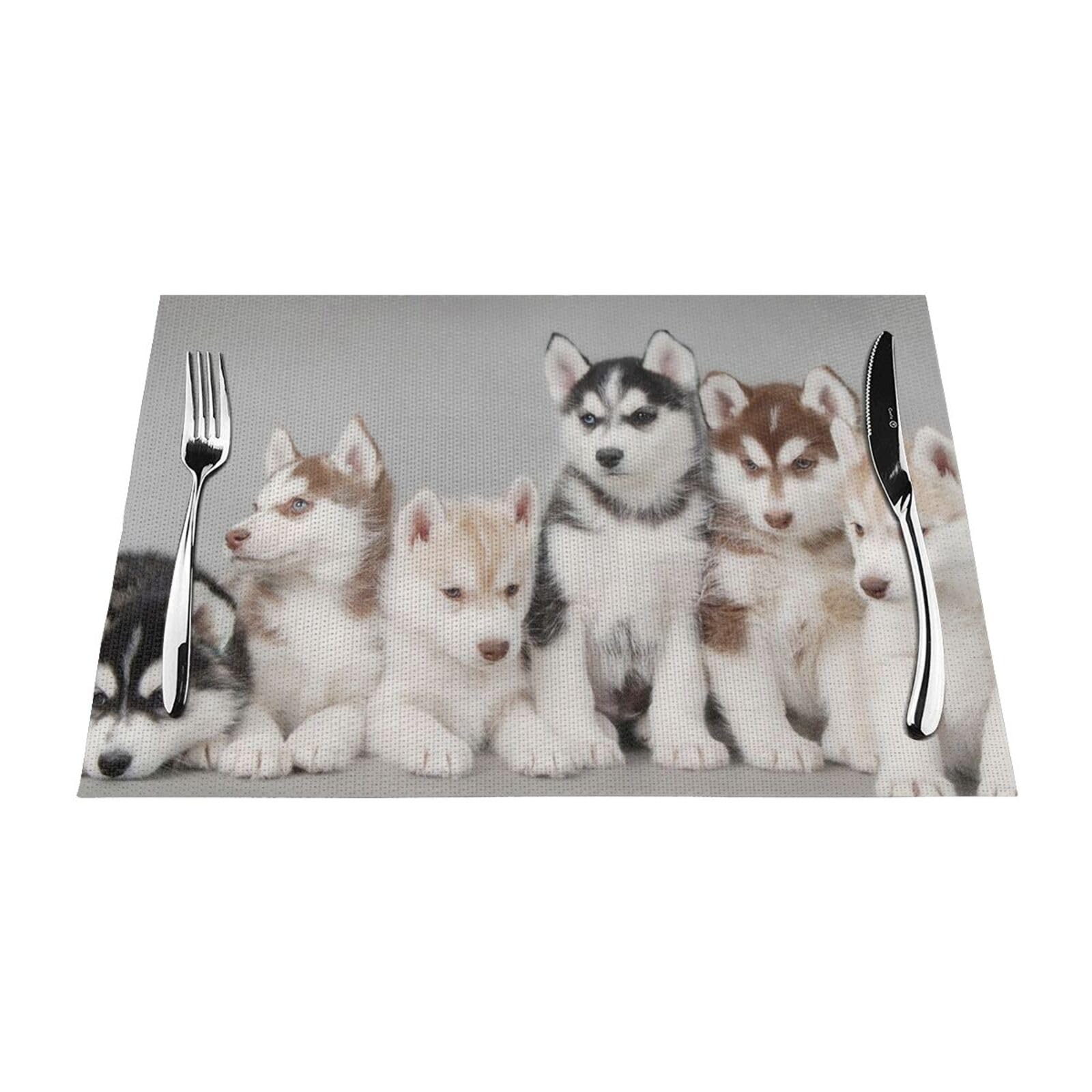 PVC Placemat Set of 1 PCS, 45x30 CM, Lovely husky Printed Non-Slip Heat Resistant Place Mats for Kitchen Dining Table Indoor Outdoor