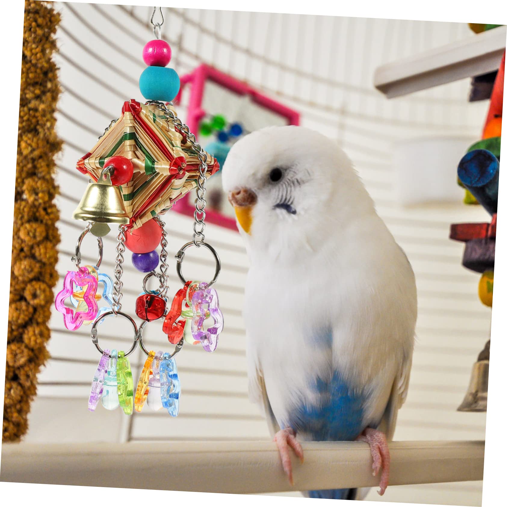 BESPORTBLE 5pièces Jou Mâcher Suspendu pour Perroquet Acrylique Accessoire Amusant pour Oiseaux De Compagnie Jou Grignoter Escalader pour Oiseaux