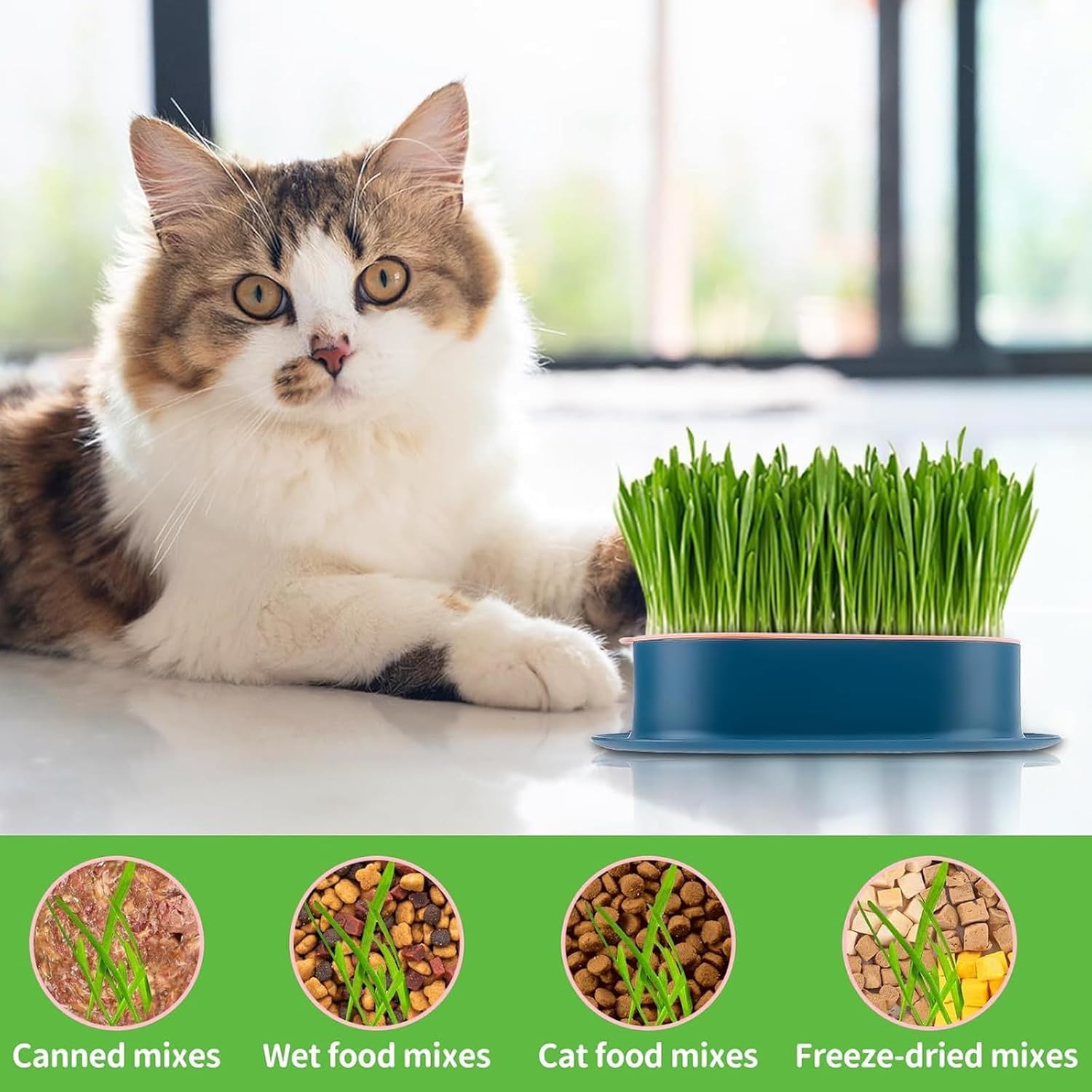 3 Plateaux de Plantation pour Herbe à Chat, germoir sans Terre pour Herbe à Chat, conteneur de Plantation pour Herbe à cha pour Chats d'intérieur