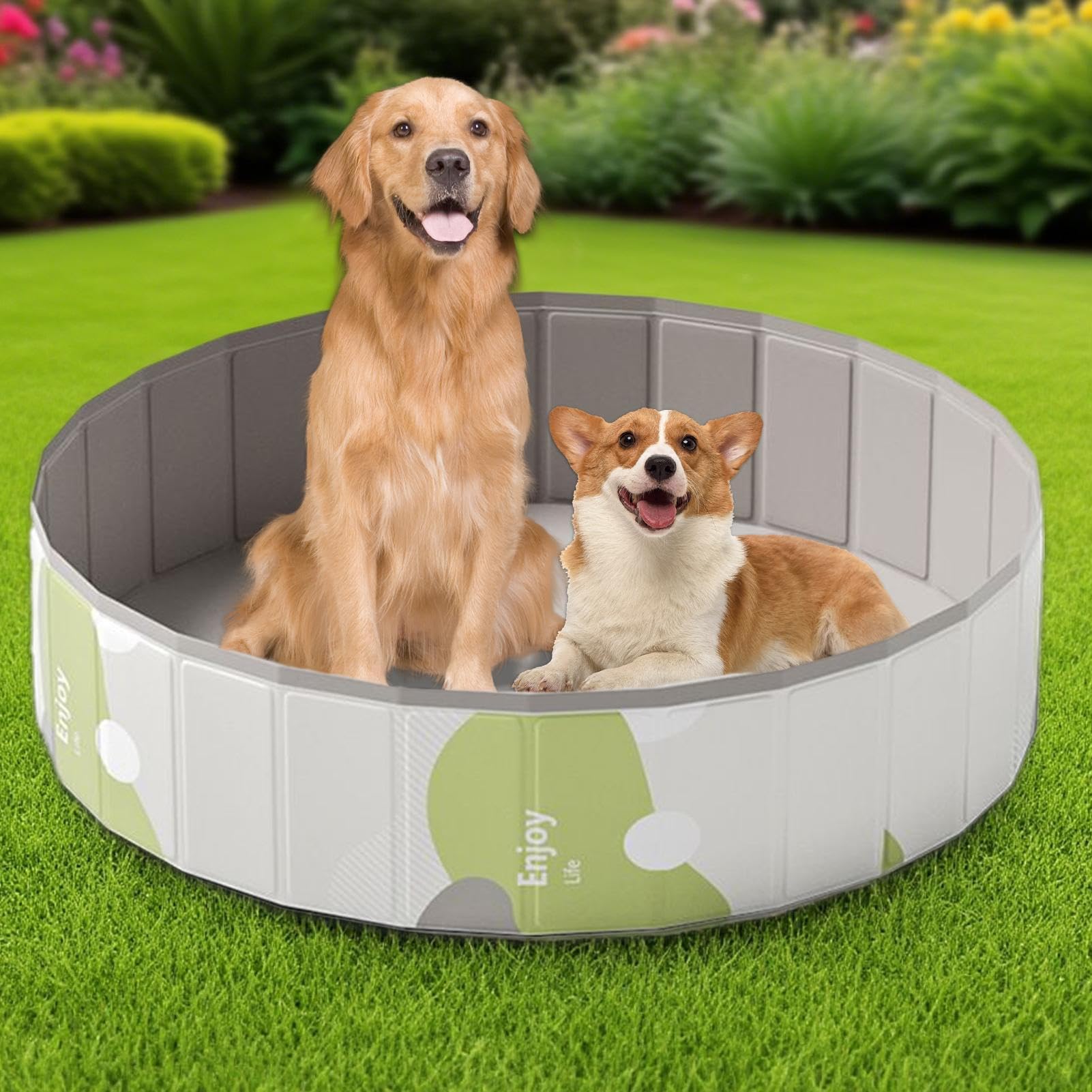Piscine À Chien Cuve Ronde Non Gonflable Douche