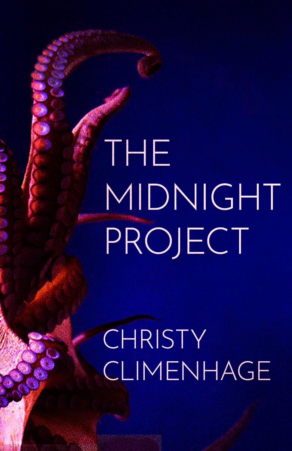 Cover of The Midnight Project