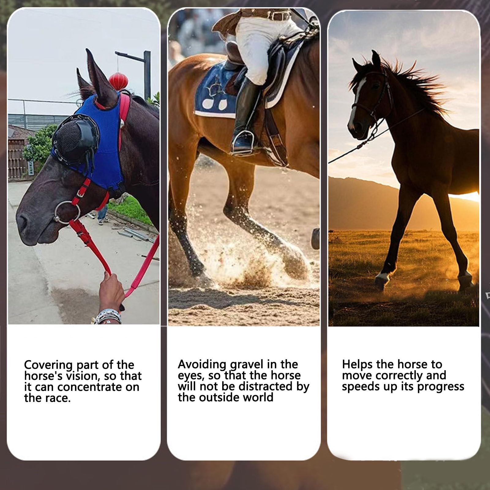 Cubierta para Ojos de Caballo, Resistente al Viento, a Prueba de, Red Protectora, Gafas para Carreras de Caballos, Gafas Ajustables para Carreras, Entrenamiento, Actividades