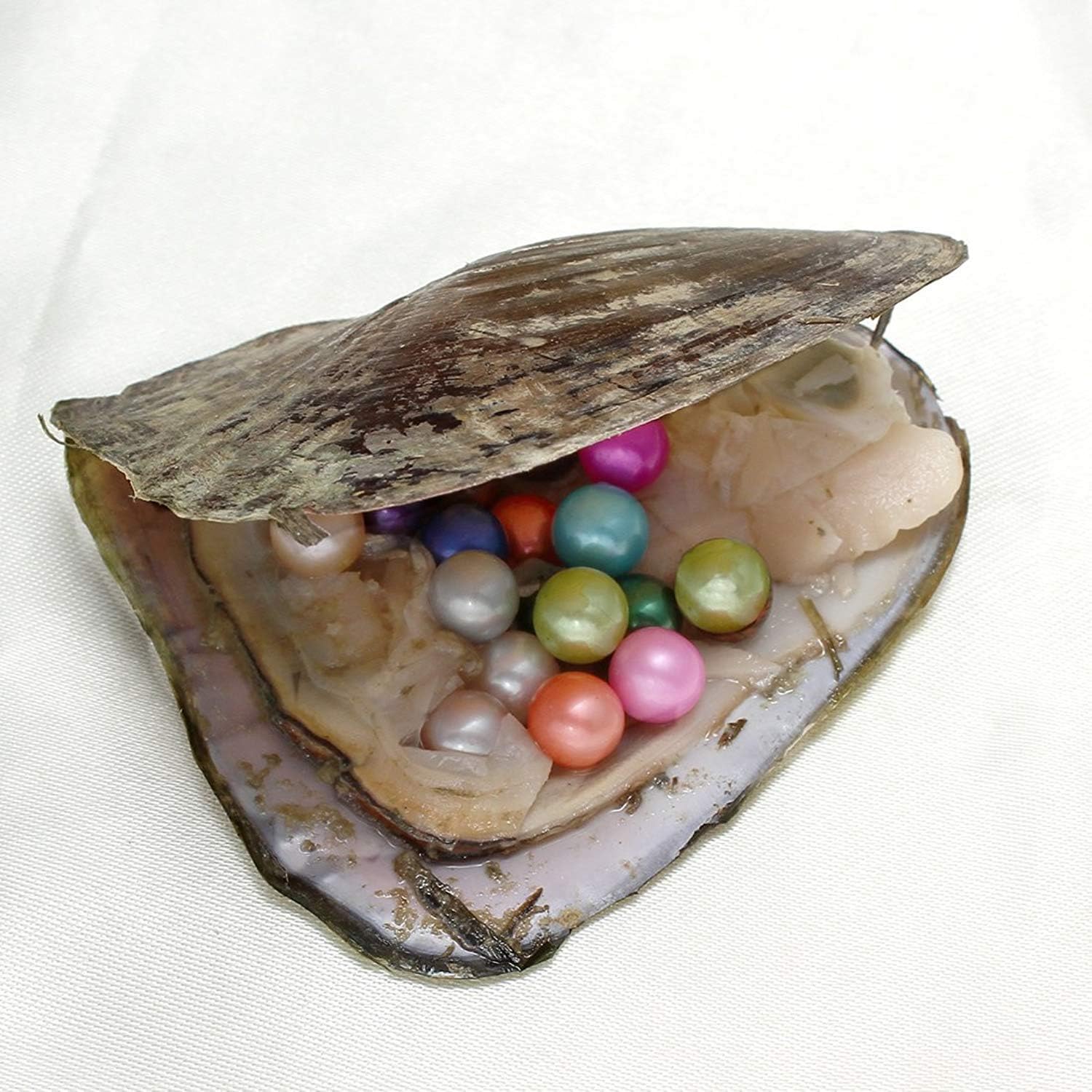 unbrand Freshwater Oysters Pearl, 20PCS/Lot Freshwater Cultured Pearl Oyster with Pearl Inside Oysters Random Colors Single Bead Round Pearls DIY Jewelry Making