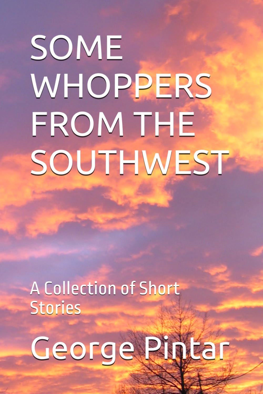 SOME WHOPPERS FROM THE SOUTHWEST: A Collection of Short Stories