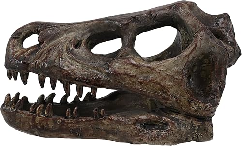 Miniatura 3 de Ebros Gift Réplica de taxidermia sintética, figura de calavera pequeña de resina con acabado de bronce sintético, esqueletos prehistóricos, fósiles