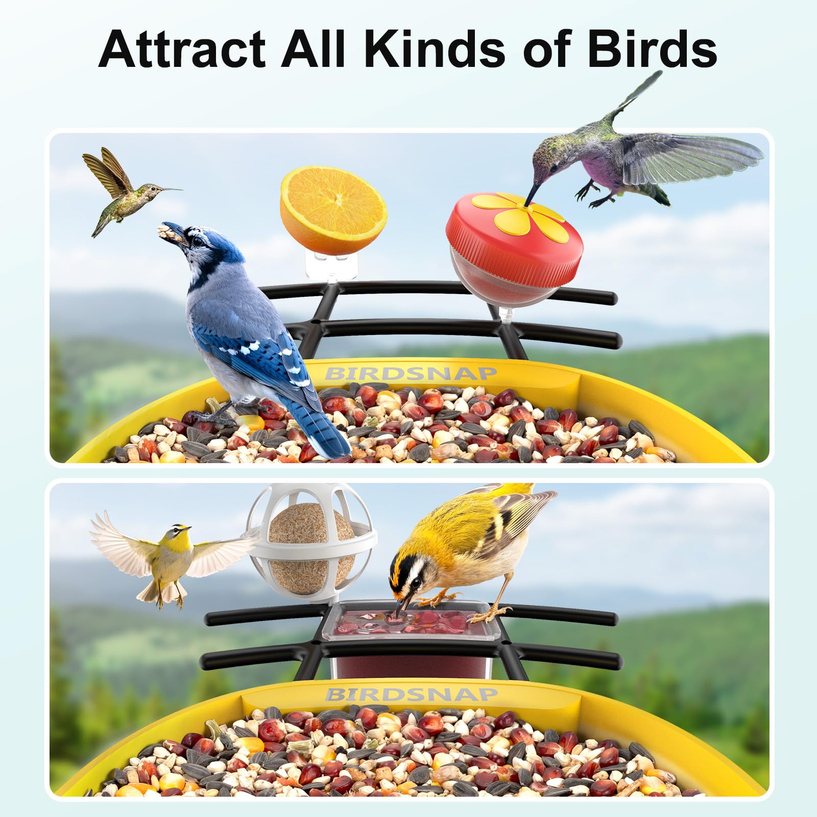 birdsnap® PAV-Comedero para pájaros con cámara, 2K HD con tarjeta de 64 GB, panel solar inteligente de identificación de inteligencia artificial, transmisión en vivo, detección de movimiento